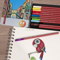 12 Colors Sketch Charcoal Carbonized Pencil Iron Box Set