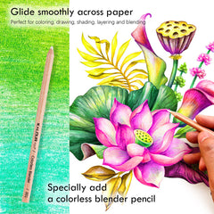 36Pcs Set Premium Botanical Colored Pencil With Vibrant Colors in Paper Box