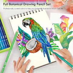 36Pcs Set Premium Botanical Colored Pencil With Vibrant Colors in Paper Box