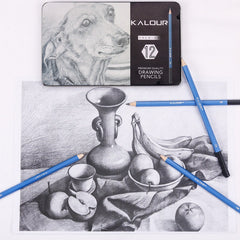 Drawing Sketch Pencils 12Pcs Set With Iron Box