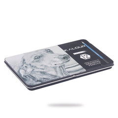 Drawing Sketch Pencils 12Pcs Set With Iron Box