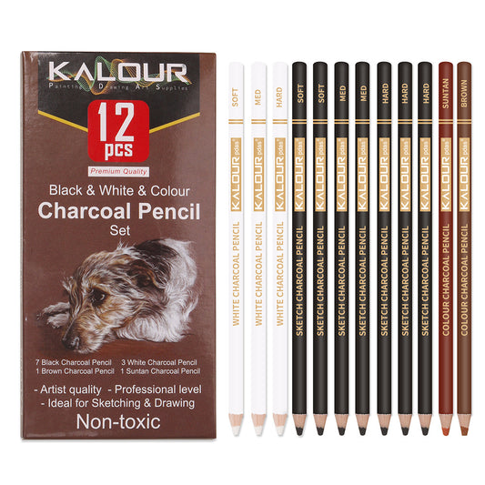 Professional Charcoal Pencils Set Soft Core Highlighter Pencil Charcoal Pencil Set in Paper Box