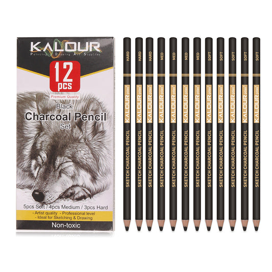Professional Charcoal Pencils Set Soft Core Highlighter Pencil Charcoal Pencil Set in Paper Box