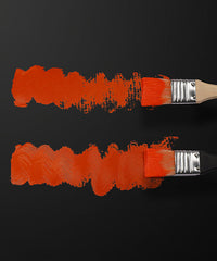 10 Pcs Bristle Hair Paint Brush Set