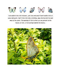 80 Pcs Gold Stamping Butterfly Theme Stickers Set