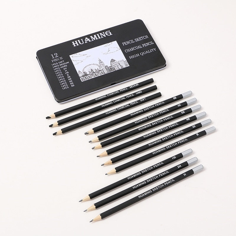 Charcoal Pencil Sketch Set 12 Pcs Soft Medium Hard Drawing Pencils Set 2H-8B With Iron Box