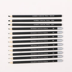 Charcoal Pencil Sketch Set 12 Pcs Soft Medium Hard Drawing Pencils Set 2H-8B With Iron Box