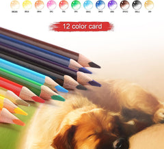 Oil Pencil Set Profressional Wooden Drawing Colored Pencils