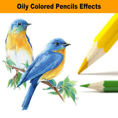 72 Colors Premium Oil Based Colored Pencils With Metal Box Set