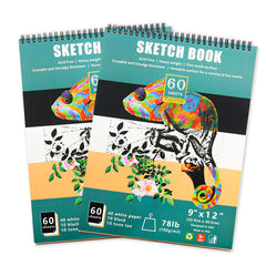 60 Sheets 9" x 12" Top Spiral Bound Sketch Pad Sketch Drawing Pads Art Supplies for Drawing Sketching and Journaling with Three Colors of Paper Artist Sketching Drawing Pad
